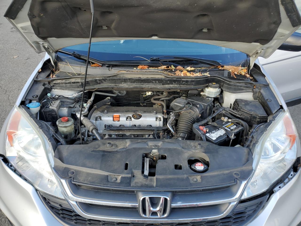 2010 Honda Cr-V Lx VIN: 5J6RE4H34AL055768 Lot: 91771975