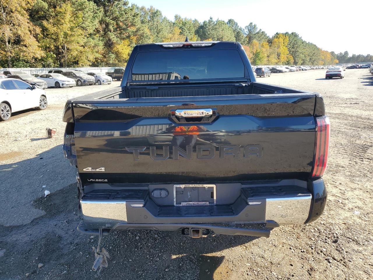 2022 Toyota Tundra Crewmax Platinum VIN: 5TFMA5DB6NX016788 Lot: 91287805