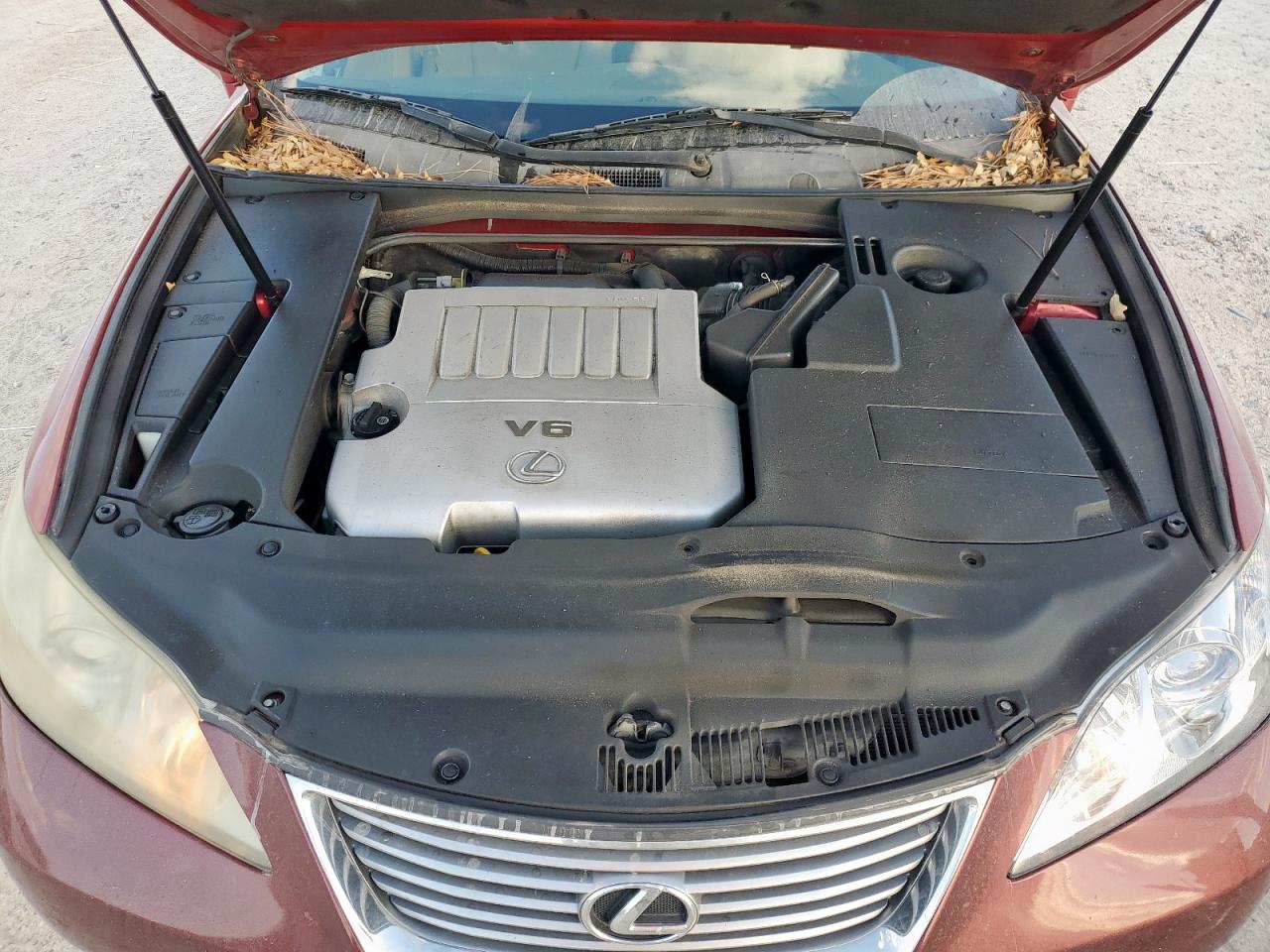 2009 Lexus Es 350 VIN: JTHBJ46G092305905 Lot: 92883295