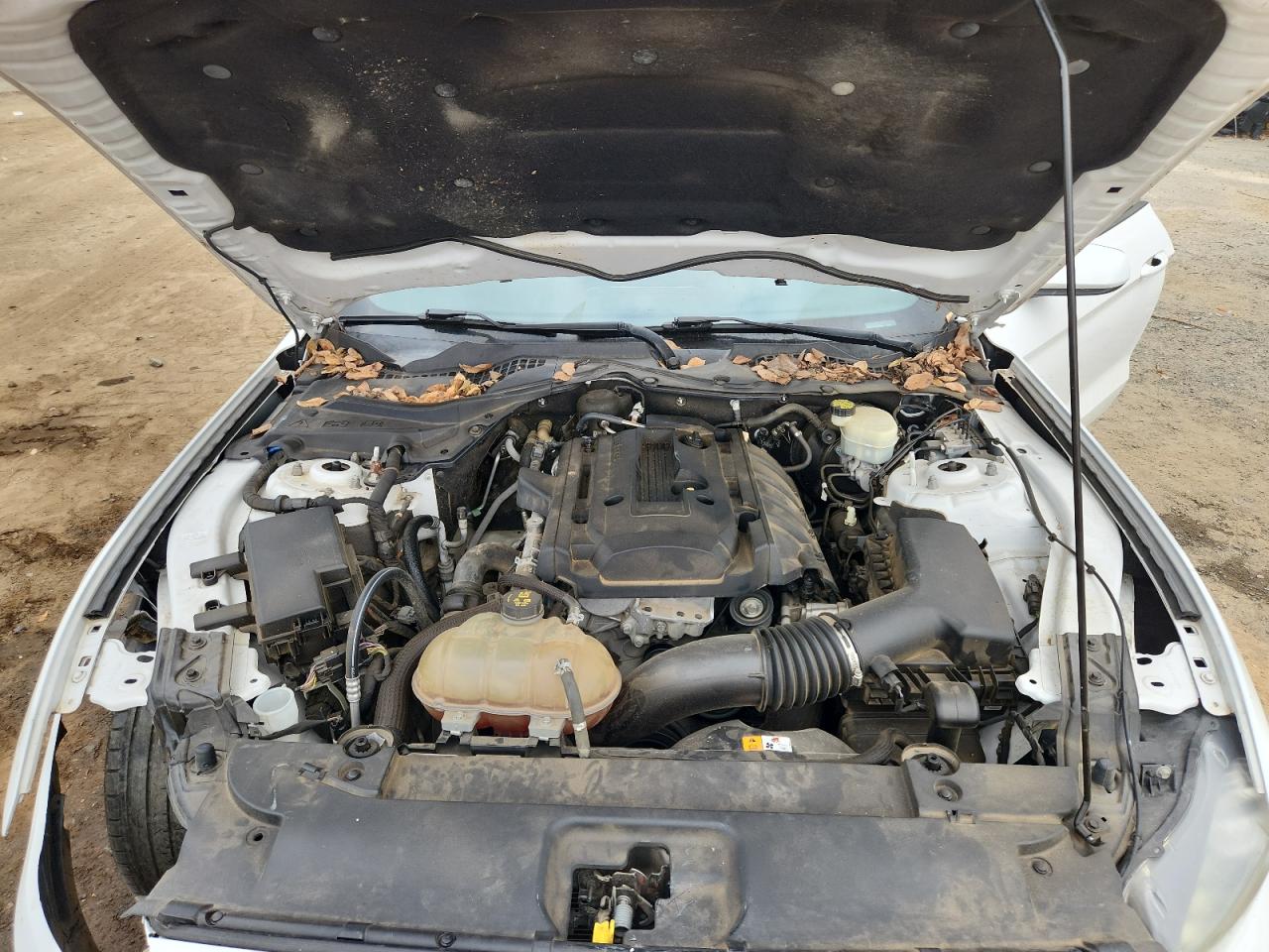 2016 Ford Mustang VIN: 1FA6P8TH5G5264887 Lot: 93320495