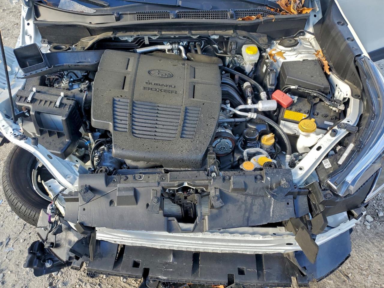 2024 Subaru Forester Premium VIN: JF2SKADC4RH410149 Lot: 92471725