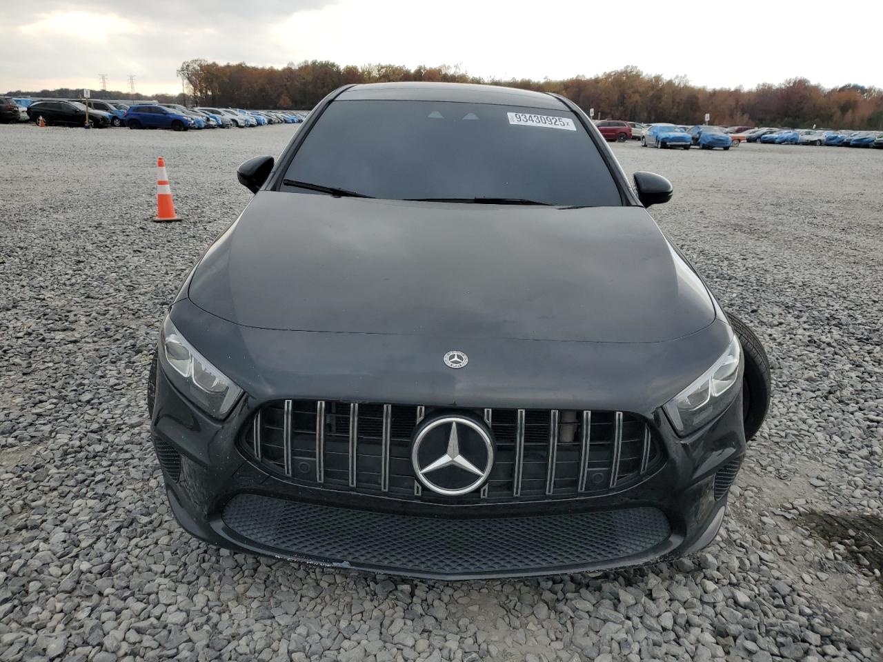 2019 Mercedes-Benz A 220 VIN: WDD3G4EB2KW020945 Lot: 93430925