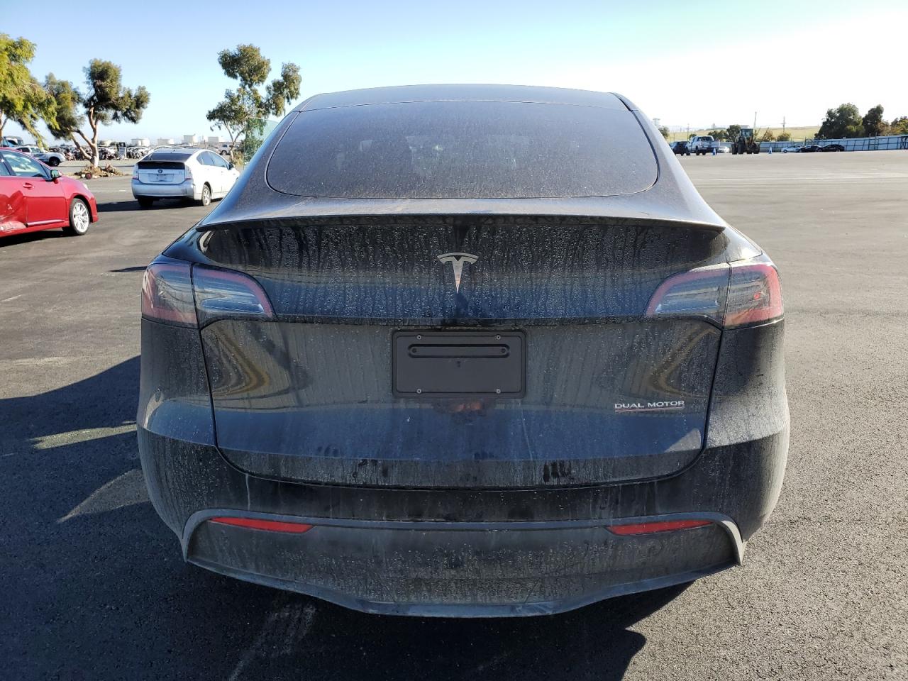 2023 Tesla Model Y VIN: 7SAYGDEFXPF911731 Lot: 94956185