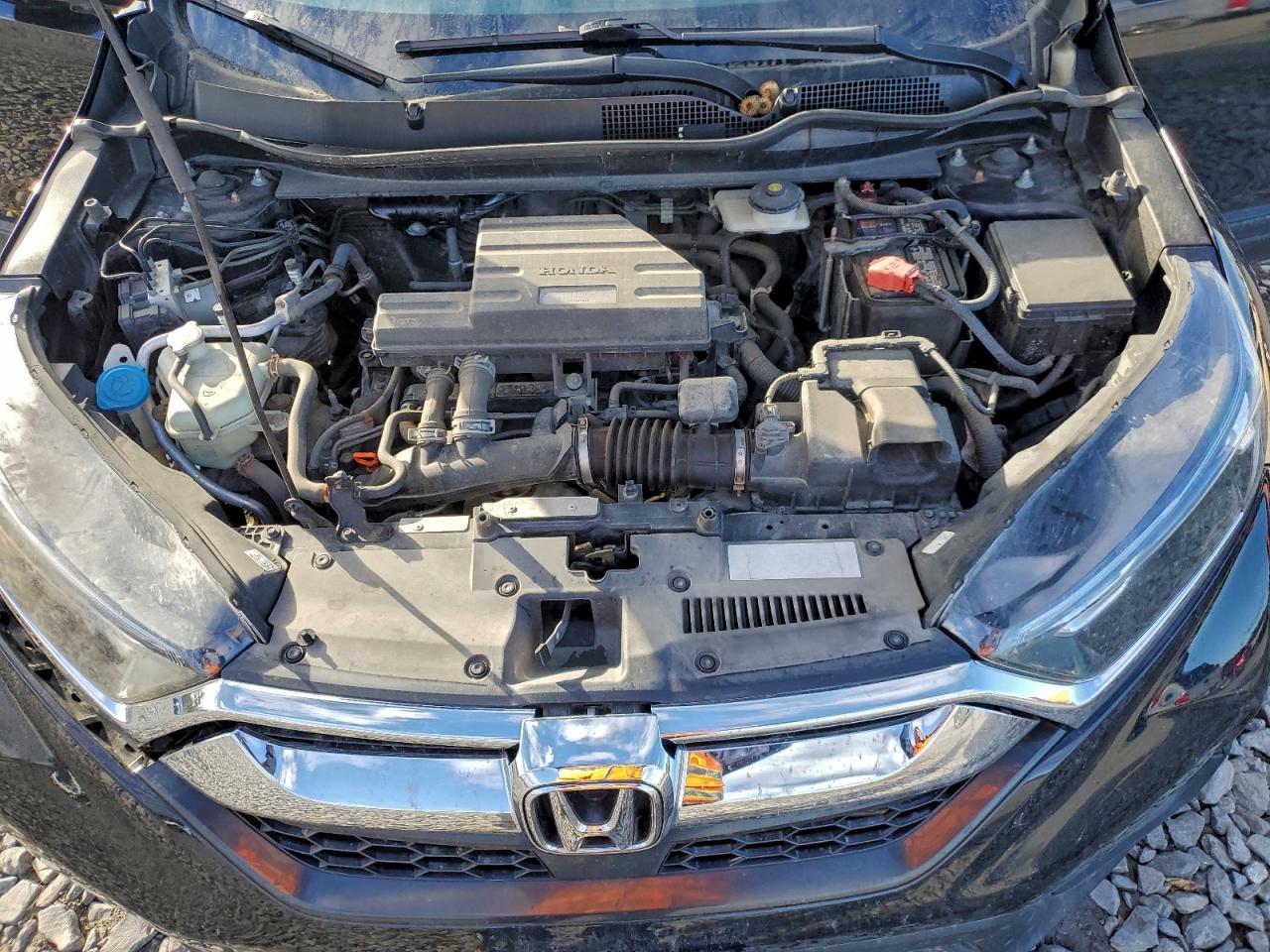 2019 Honda Cr-V Ex VIN: 2HKRW2H57KH631299 Lot: 93394595