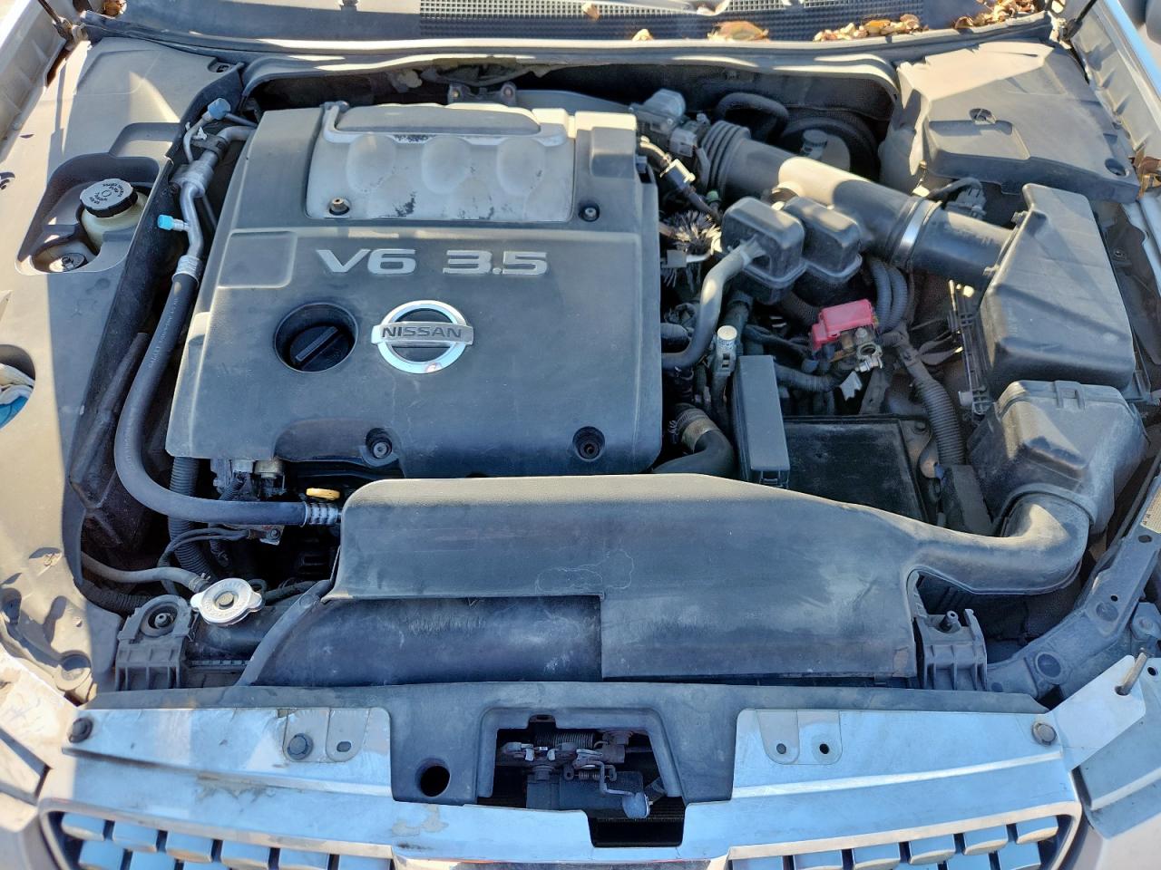 2005 Nissan Maxima Se VIN: 1N4BA41E35C848750 Lot: 93105575