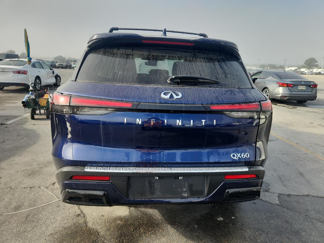 2023 Infiniti Qx60 Luxe VIN: 5N1DL1FR5PC346585 Lot: 93342245
