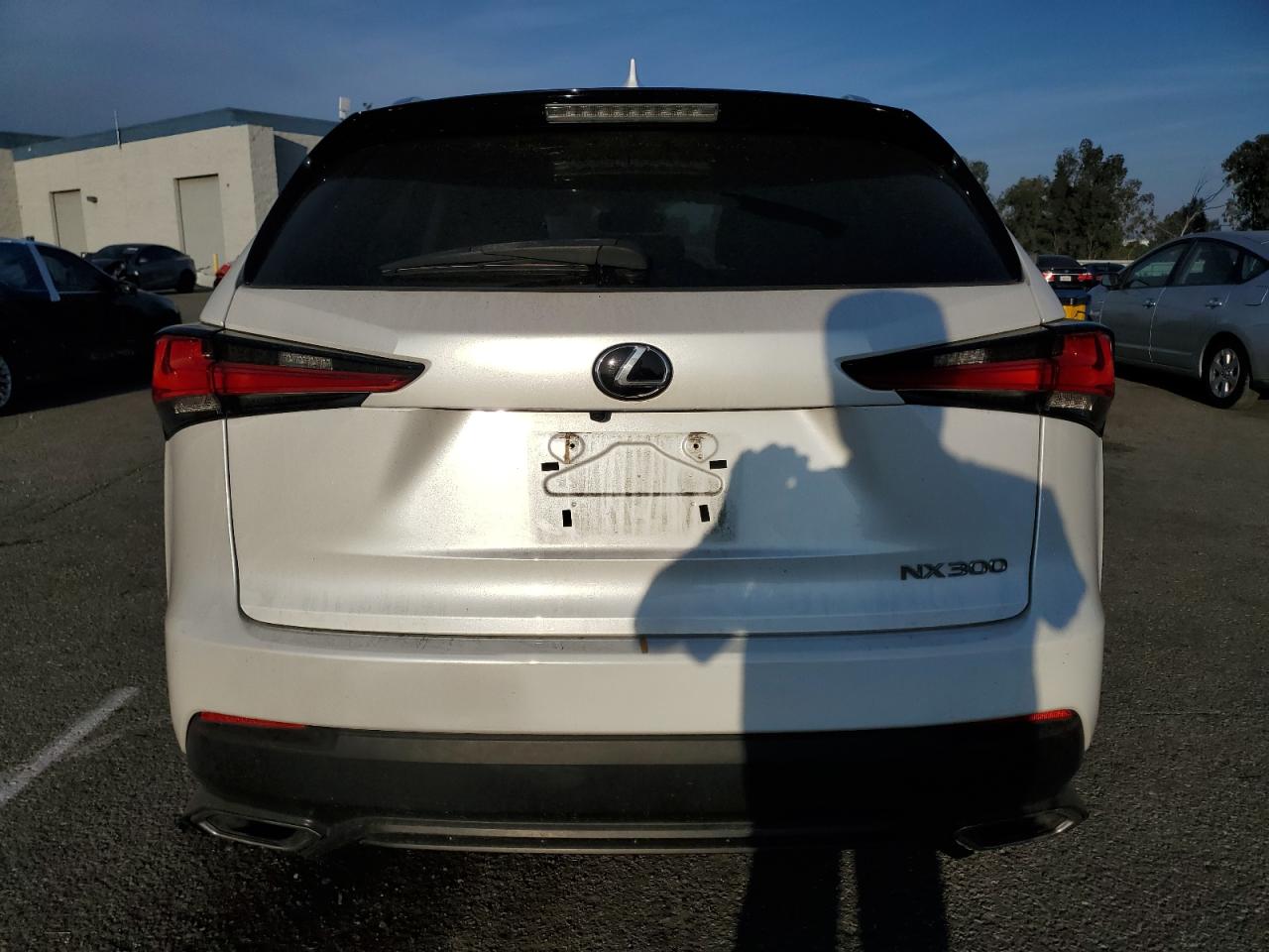 2020 Lexus Nx 300 Base VIN: JTJAARBZ8L2158433 Lot: 91351065