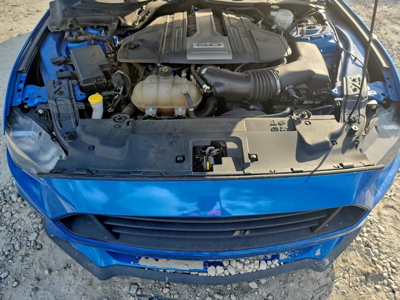 2019 Ford Mustang Gt VIN: 1FA6P8CF3K5166187 Lot: 94265335