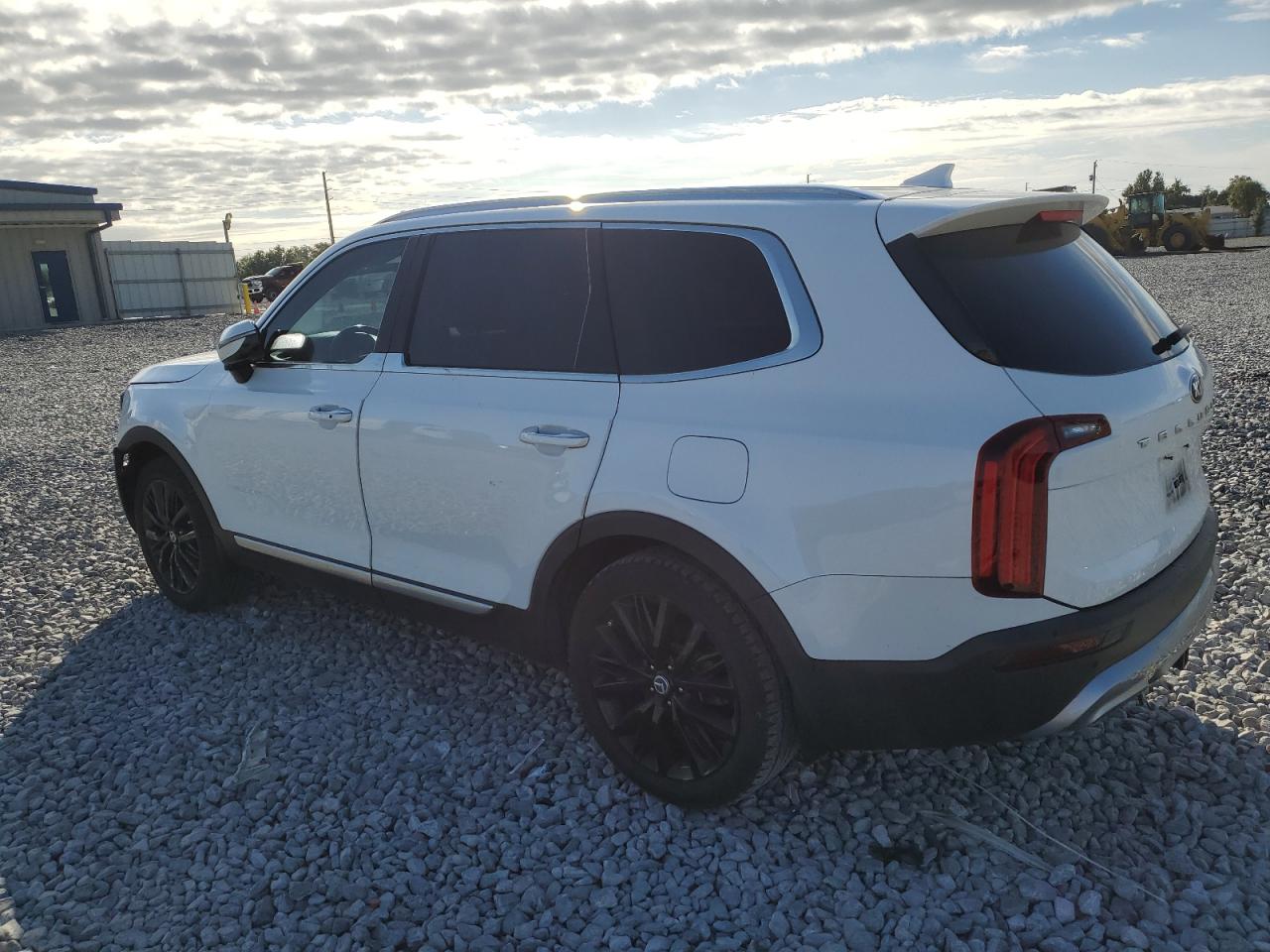 2020 Kia Telluride Sx VIN: 5XYP54HC9LG059469 Lot: 91387555