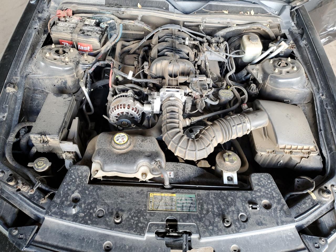 2006 Ford Mustang VIN: 1ZVFT80N365218213 Lot: 93441445