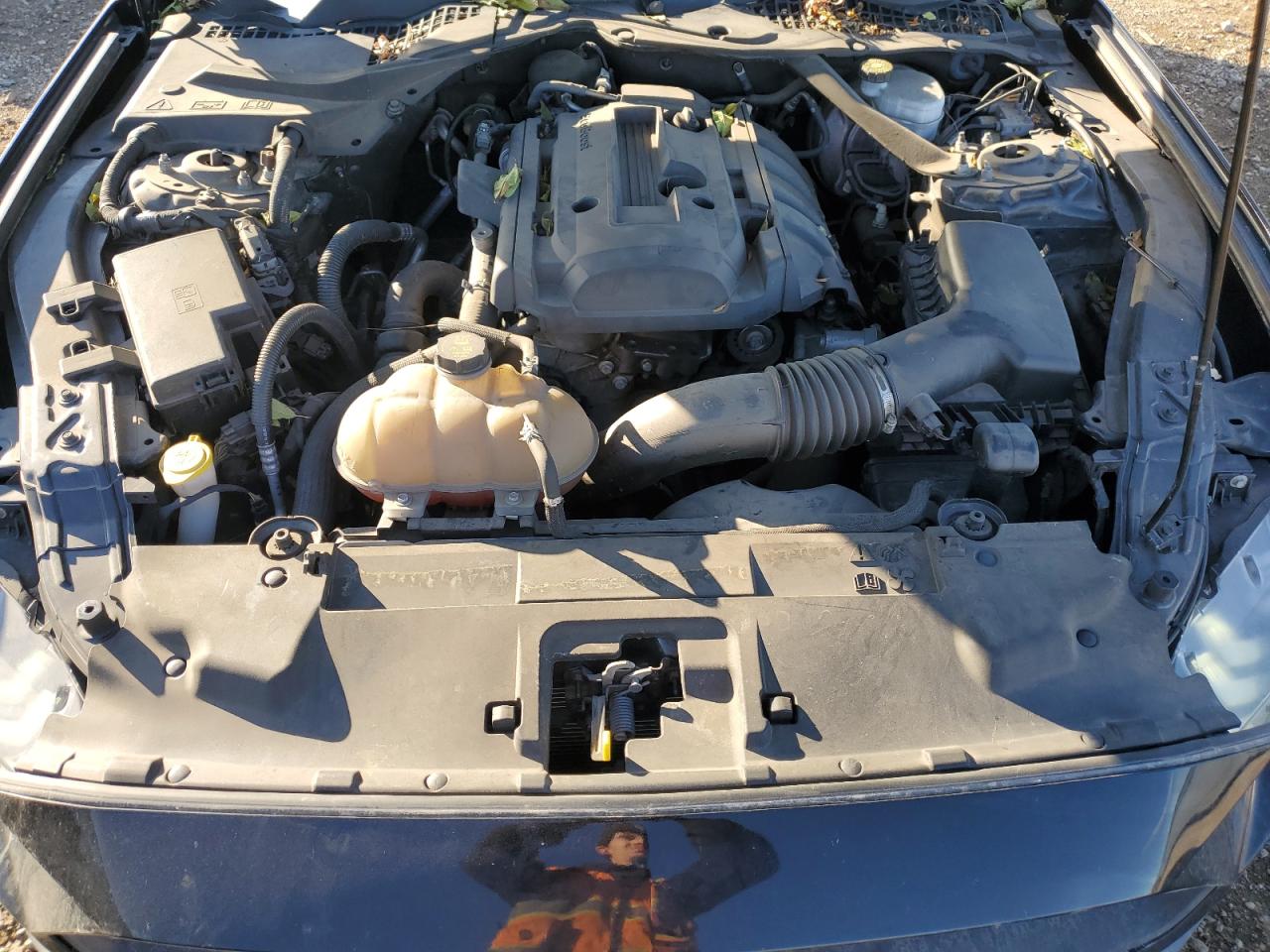 2018 Ford Mustang VIN: 1FATP8UH5J5155578 Lot: 89533065