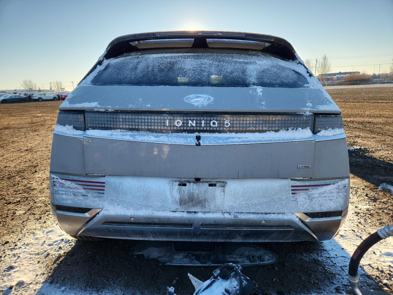 2024 Hyundai Ioniq 5 Limited VIN: KM8KRDDF5RU291374 Lot: 81033795