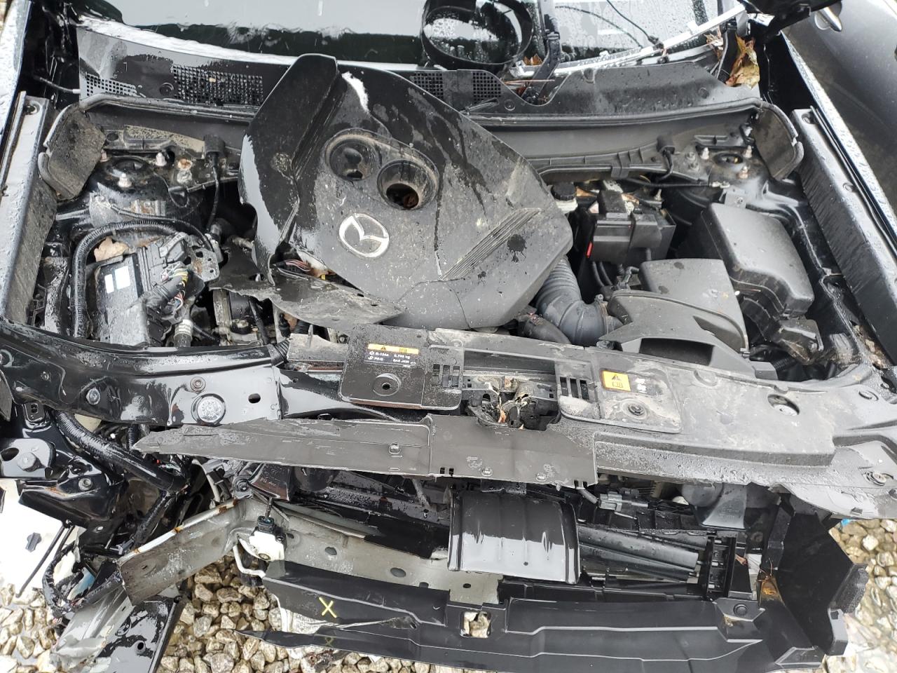 2019 Mazda Cx-9 Grand Touring VIN: JM3TCBDY8K0312674 Lot: 92054345