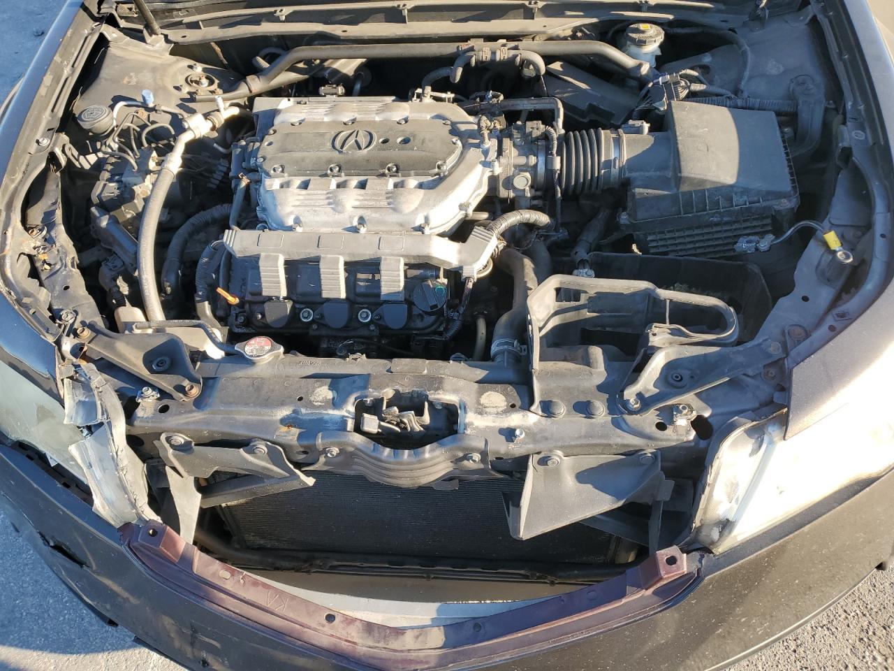 2009 Acura Tl VIN: 19UUA86539A007761 Lot: 92675615