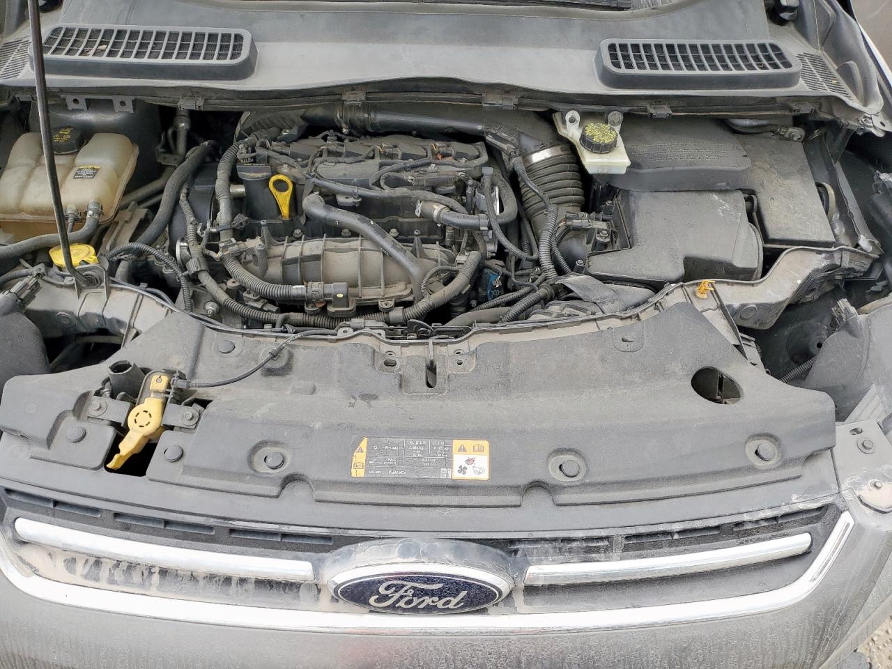 2013 Ford Escape Sel VIN: 1FMCU0HX8DUC61356 Lot: 92632485