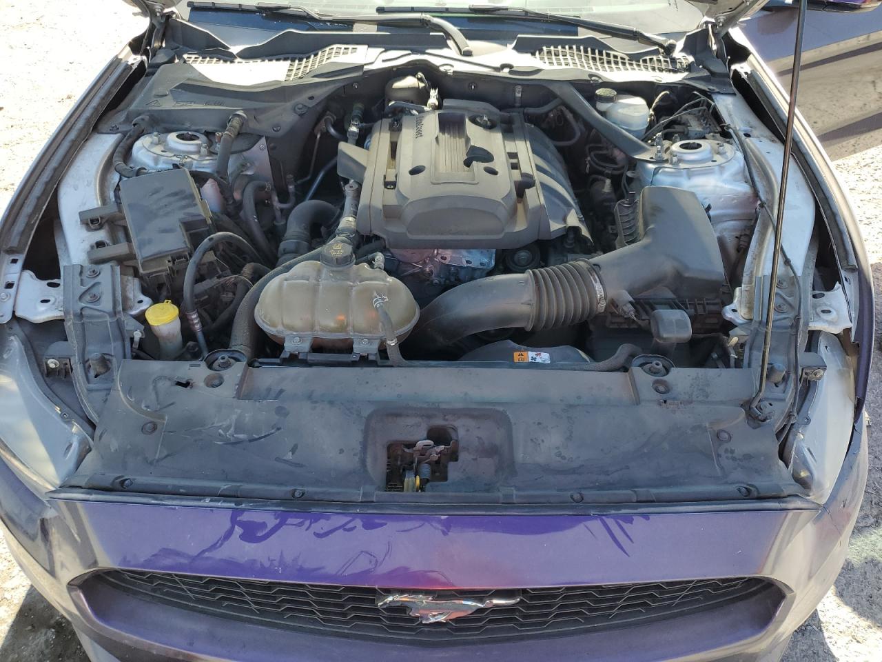 2015 Ford Mustang VIN: 1FATP8UH5F5356369 Lot: 92199905