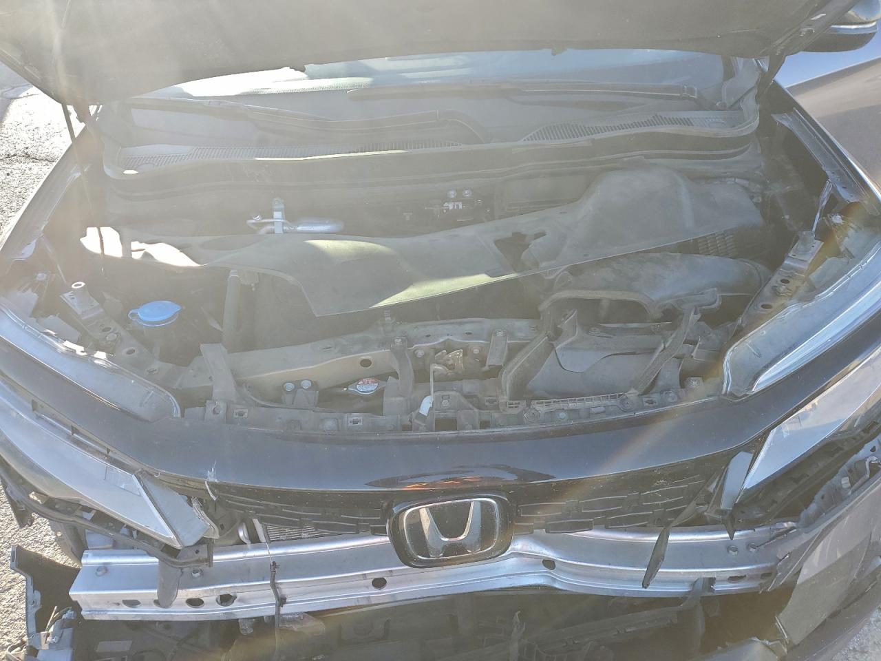 2019 Honda Passport Elite VIN: 5FNYF8H0XKB006462 Lot: 94596345