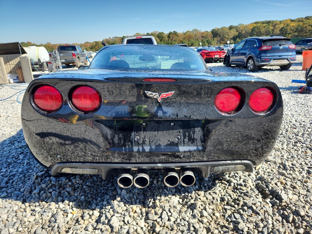 2009 Chevrolet Corvette VIN: 1G1YY26W595110540 Lot: 91510565