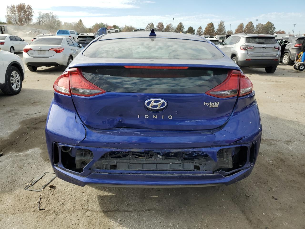 2019 Hyundai Ioniq Blue VIN: KMHC65LC2KU115673 Lot: 92945675