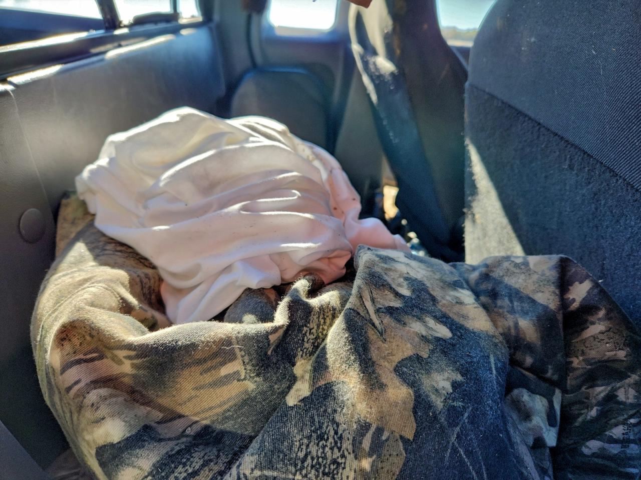 2003 Ford Ranger Super Cab VIN: 1FTYR44EX3PA66511 Lot: 94465745