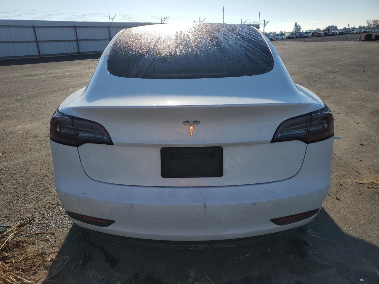 2019 Tesla Model 3 VIN: 5YJ3E1EA1KF397129 Lot: 93618185