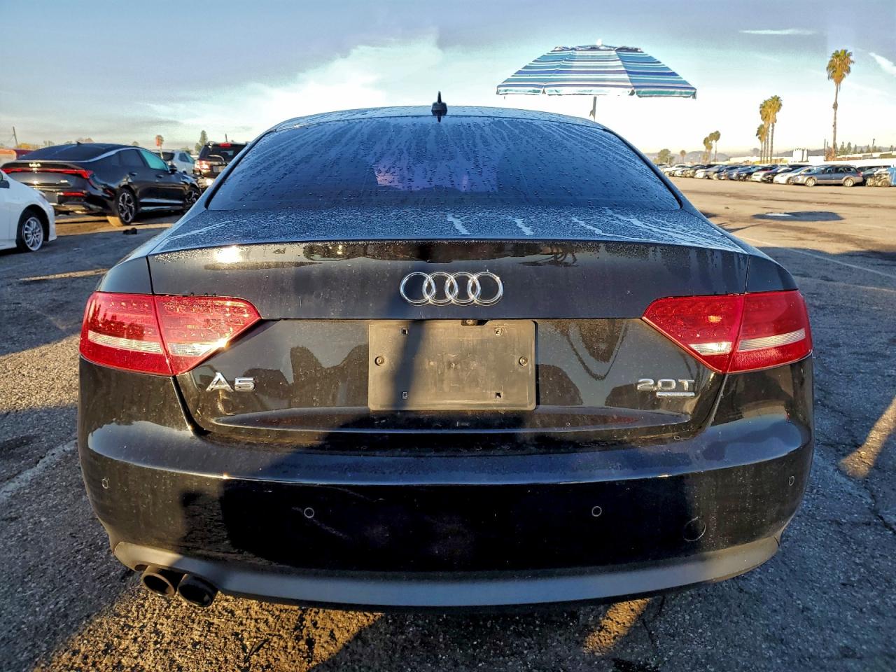 2012 Audi A5 Premium Plus VIN: WAULFAFR7CA005652 Lot: 93886435