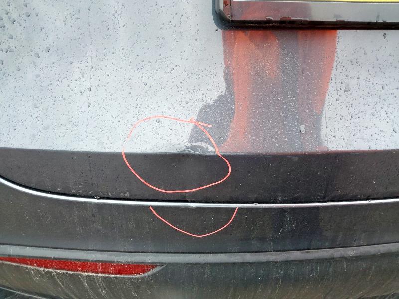 2023 TESLA MODEL Y RWD 5DR AUTO