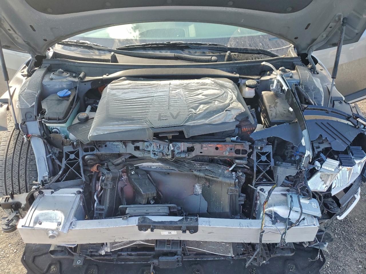 2024 Kia Ev6 Light VIN: KNDC34LA4R5219205 Lot: 93365345