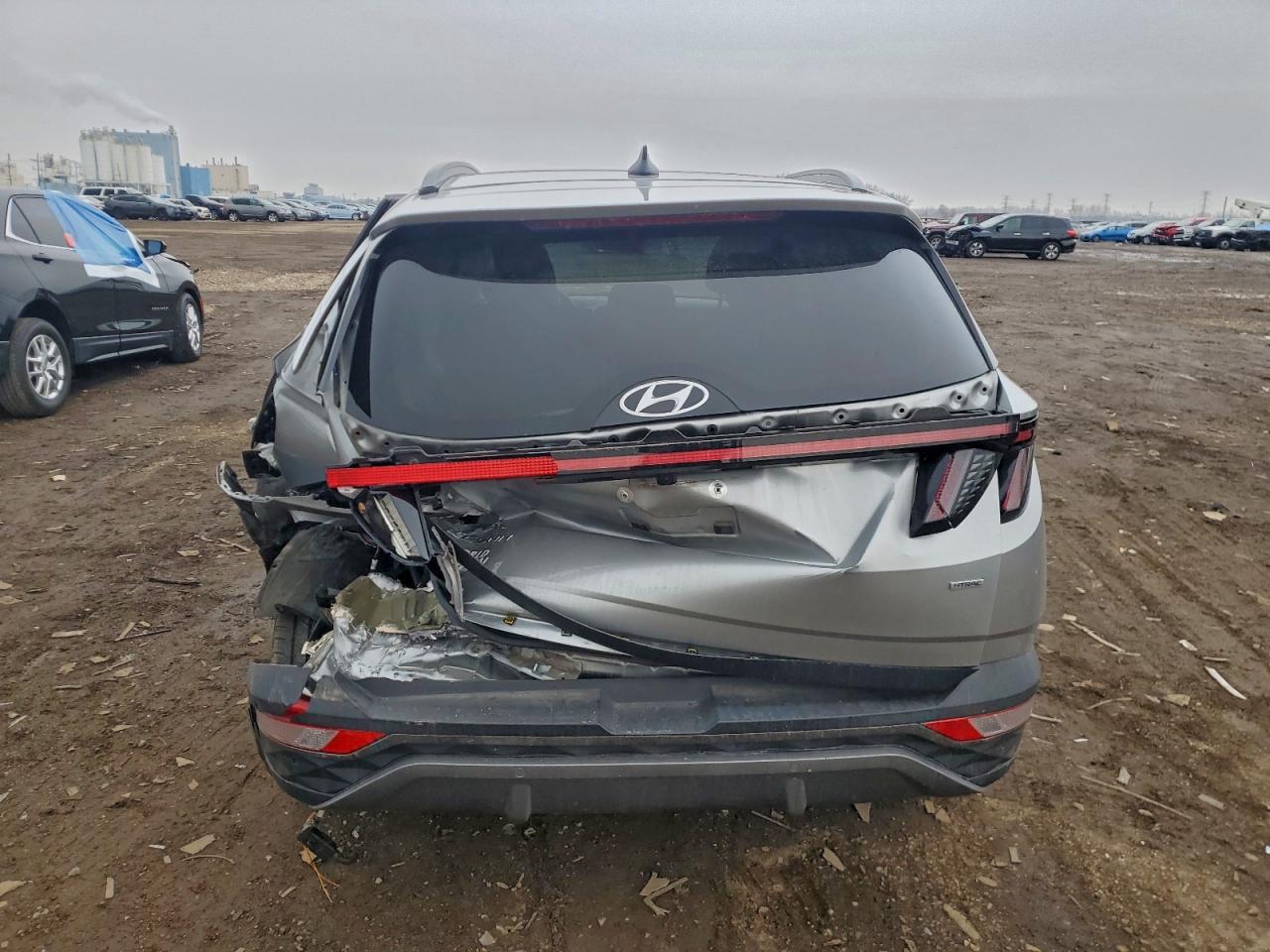 2022 Hyundai Tucson Limited VIN: 5NMJECAE6NH155709 Lot: 93949575