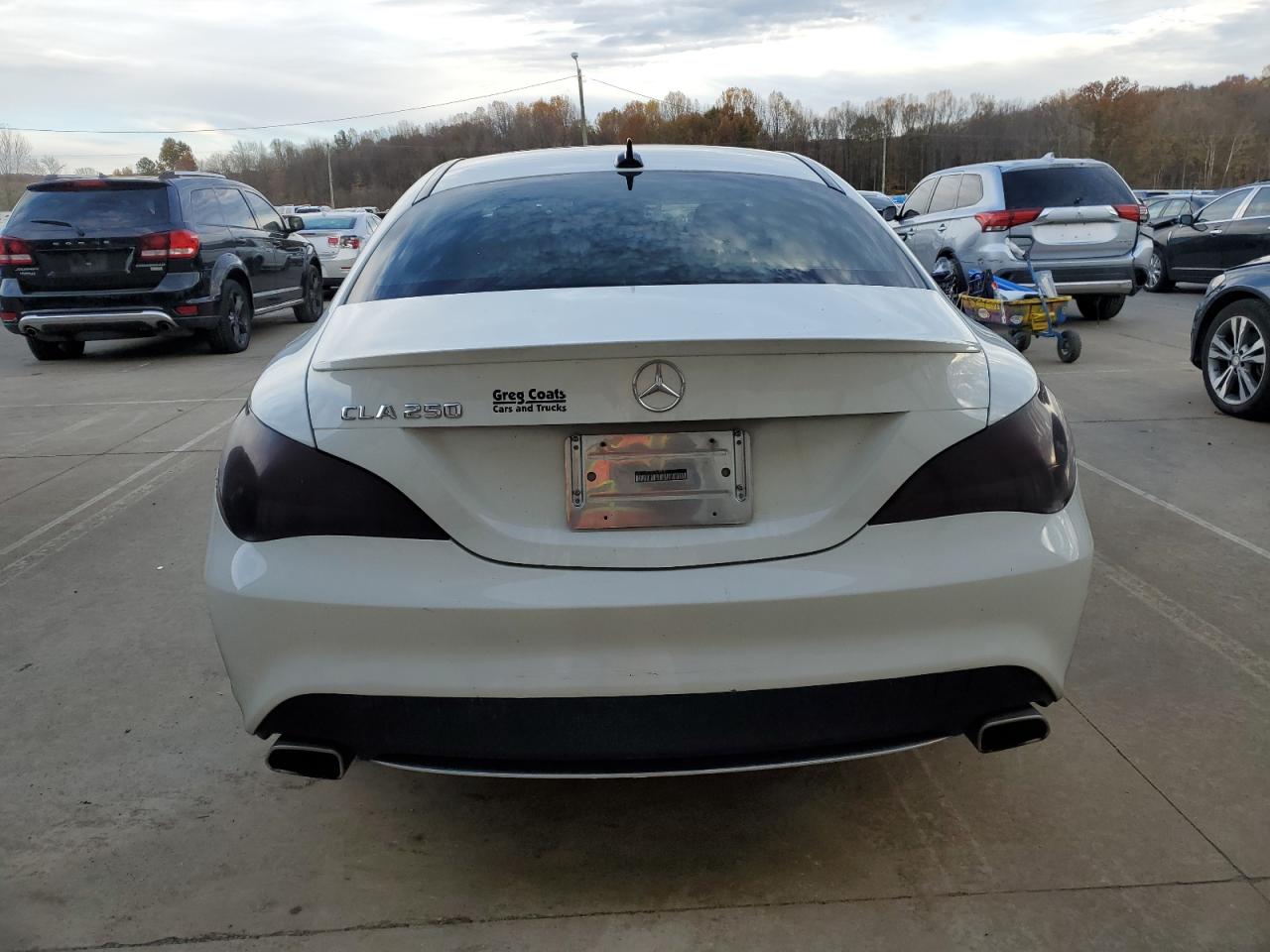 2015 Mercedes-Benz Cla 250 VIN: WDDSJ4EB4FN161900 Lot: 91101155