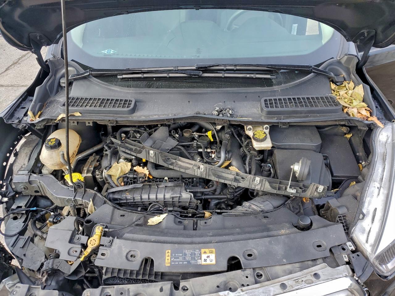 2019 Ford Escape Se VIN: 1FMCU0GD8KUA52915 Lot: 94057185