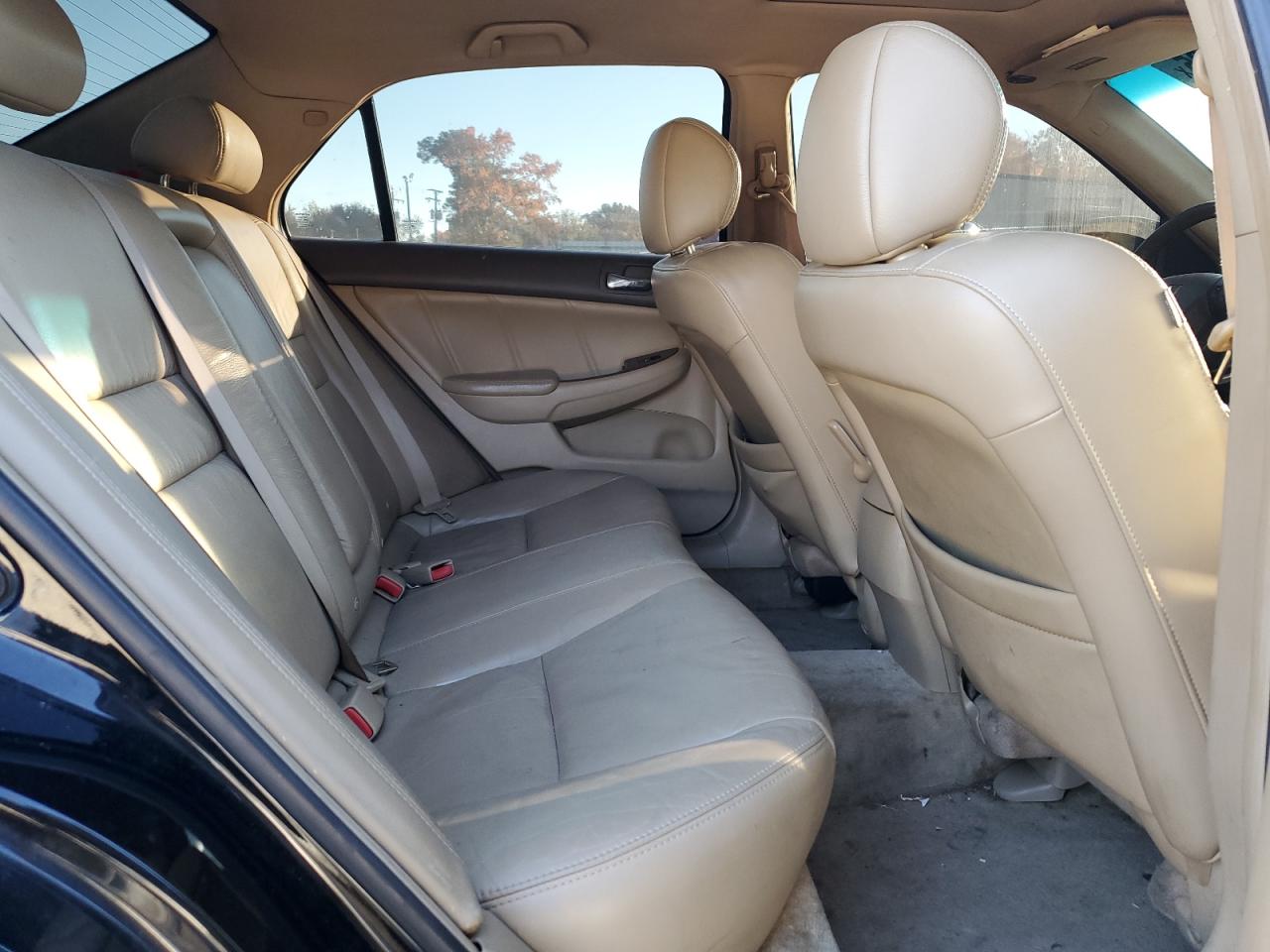 2006 Honda Accord Ex VIN: 1HGCM66576A056299 Lot: 91643805