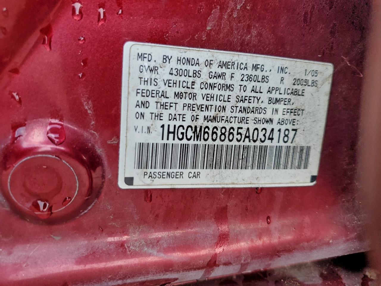 2005 Honda Accord Ex VIN: 1HGCM66865A034187 Lot: 93395885