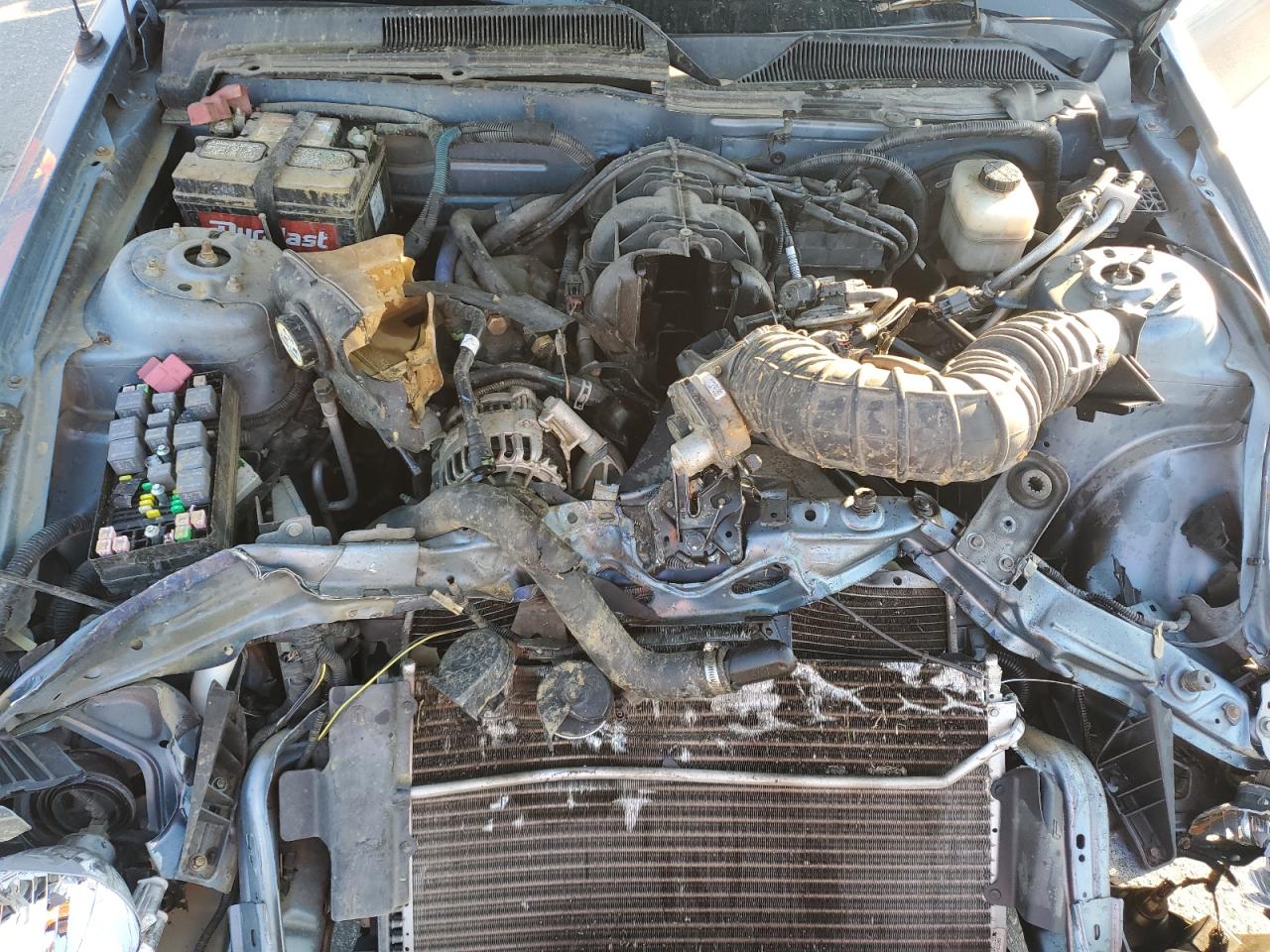 2007 Ford Mustang VIN: 1ZVFT80N175270375 Lot: 91177245