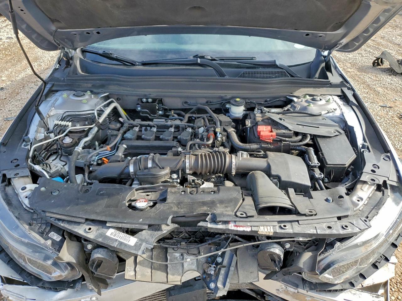 2021 Honda Accord Lx VIN: 1HGCV1F13MA064183 Lot: 94834935