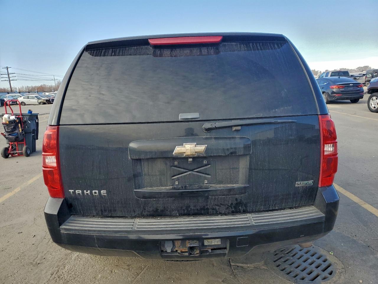 2010 Chevrolet Tahoe K1500 Ls VIN: 1GNUKAE06AR109772 Lot: 94147225