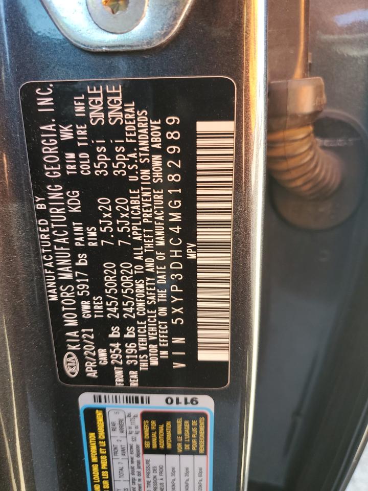 2021 Kia Telluride Ex VIN: 5XYP3DHC4MG182989 Lot: 92723325