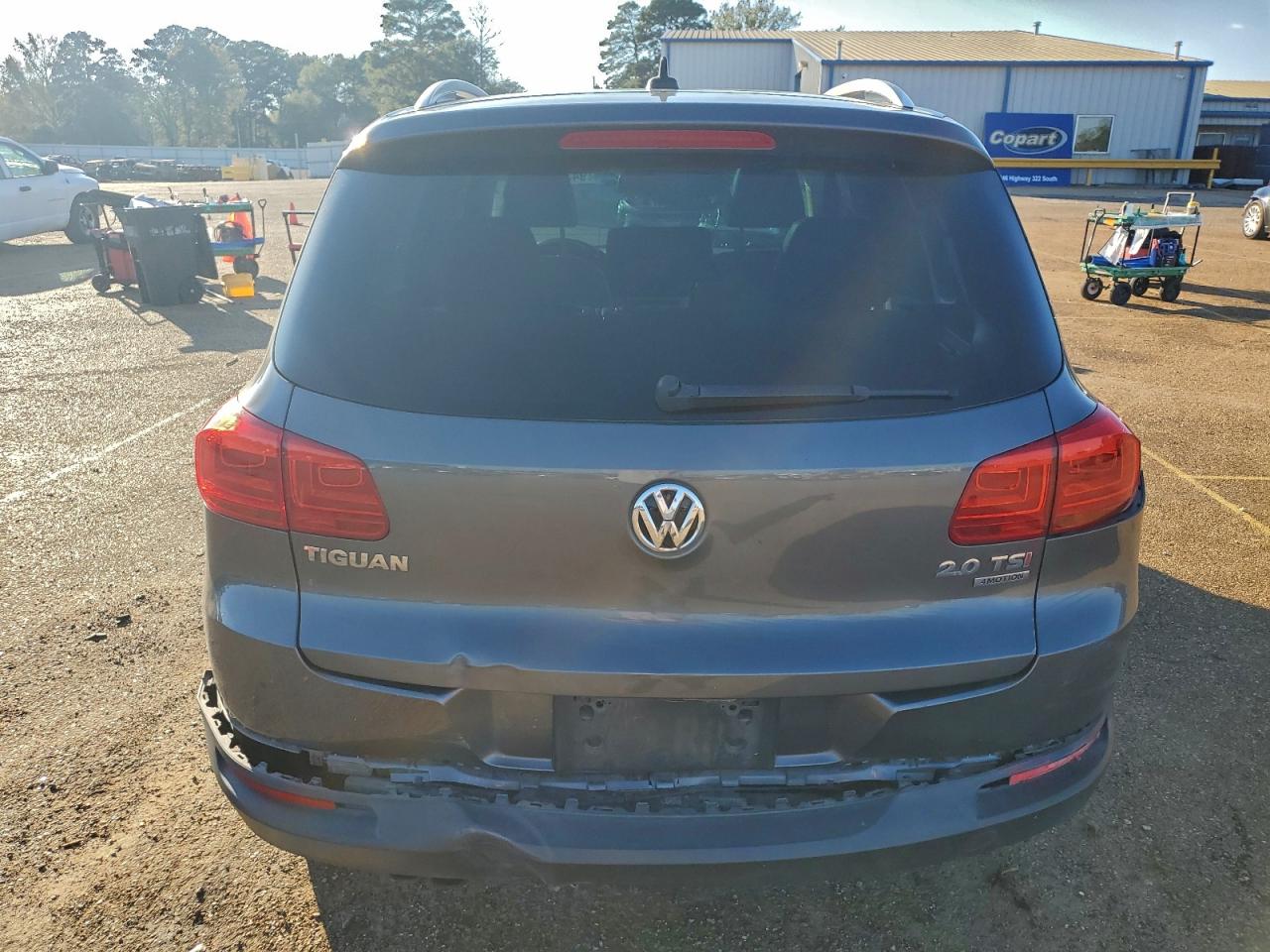 2013 Volkswagen Tiguan S VIN: WVGBV3AX3DW580463 Lot: 94395065