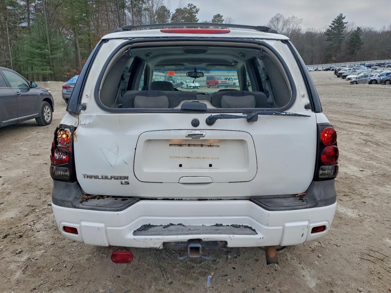2006 Chevrolet Trailblazer Ls VIN: 1GNDT13S462283194 Lot: 93400925