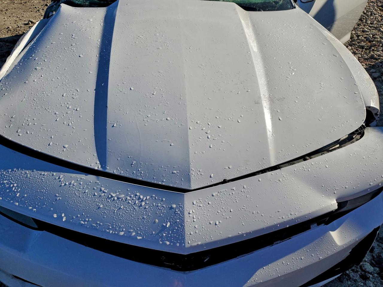 2015 Chevrolet Camaro Ls VIN: 2G1FA1E30F9287394 Lot: 93671675