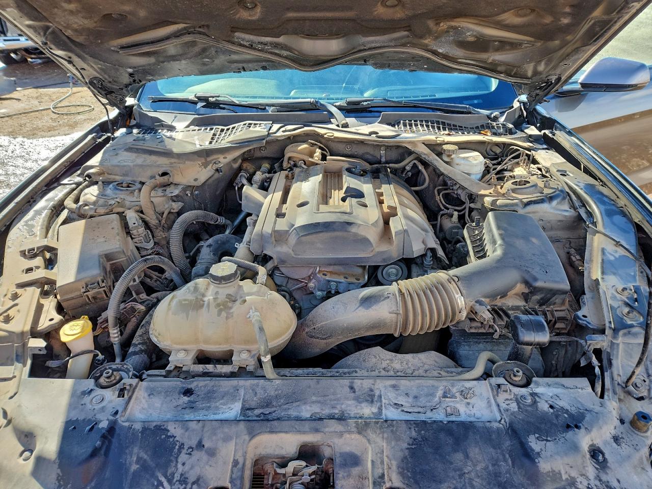 2020 Ford Mustang VIN: 1FATP8UH2L5101223 Lot: 93264695