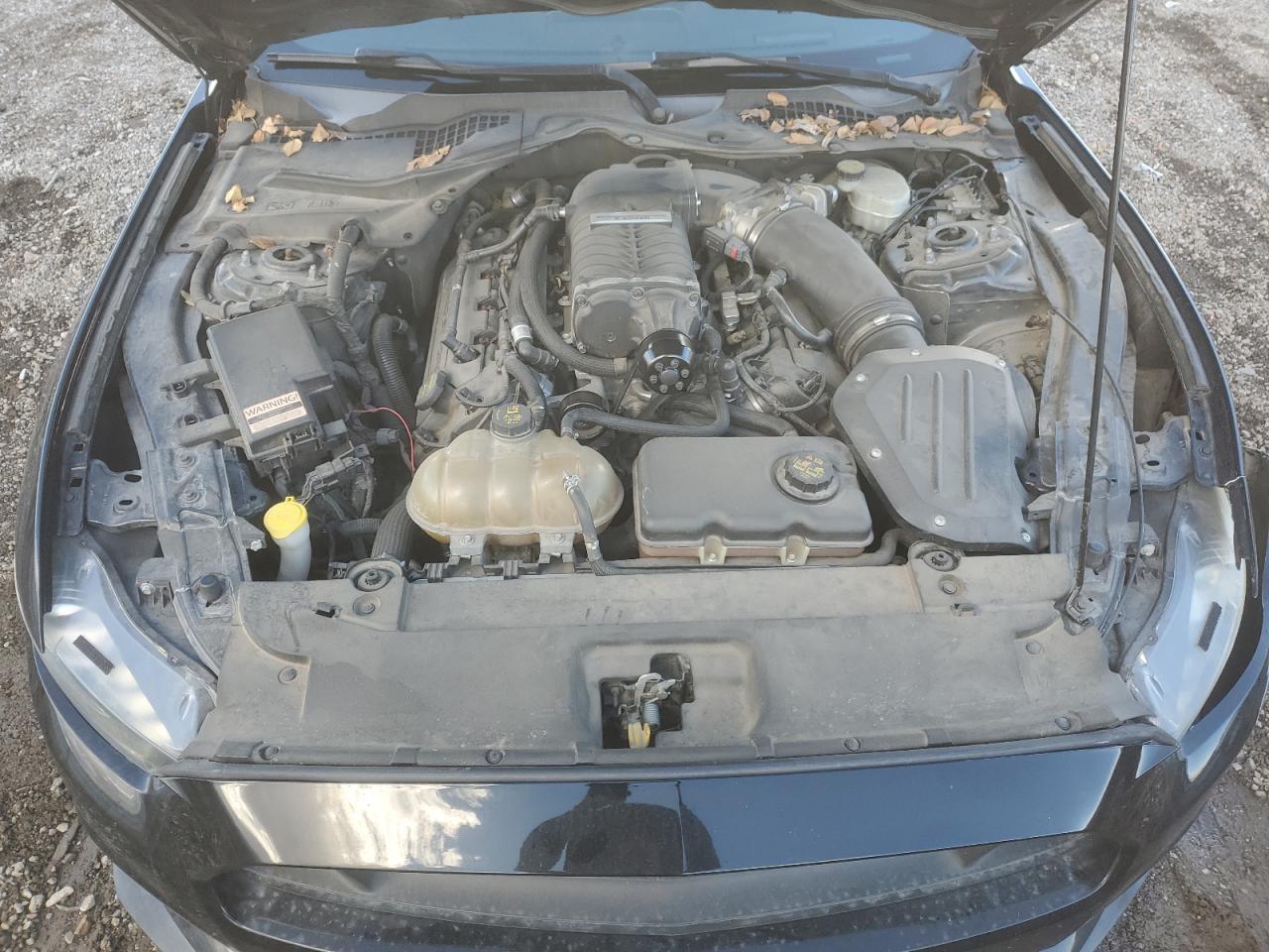 2015 Ford Mustang Gt VIN: 408831 Lot: 93916765