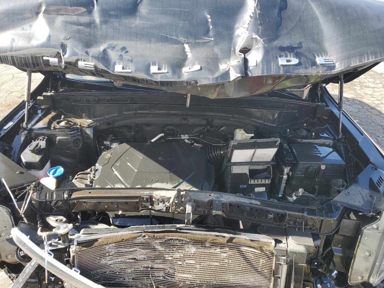 2021 Kia Telluride Ex VIN: 5XYP34HC2MG190458 Lot: 92912275