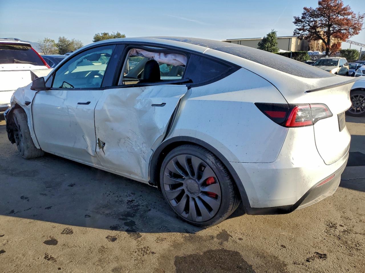 2025 Tesla Model Y VIN: 7SAYGDEFXSF299877 Lot: 94251095