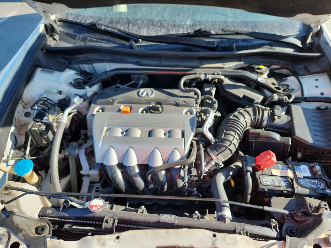 2011 Acura Tsx VIN: JH4CW2H69BC001602 Lot: 92816585