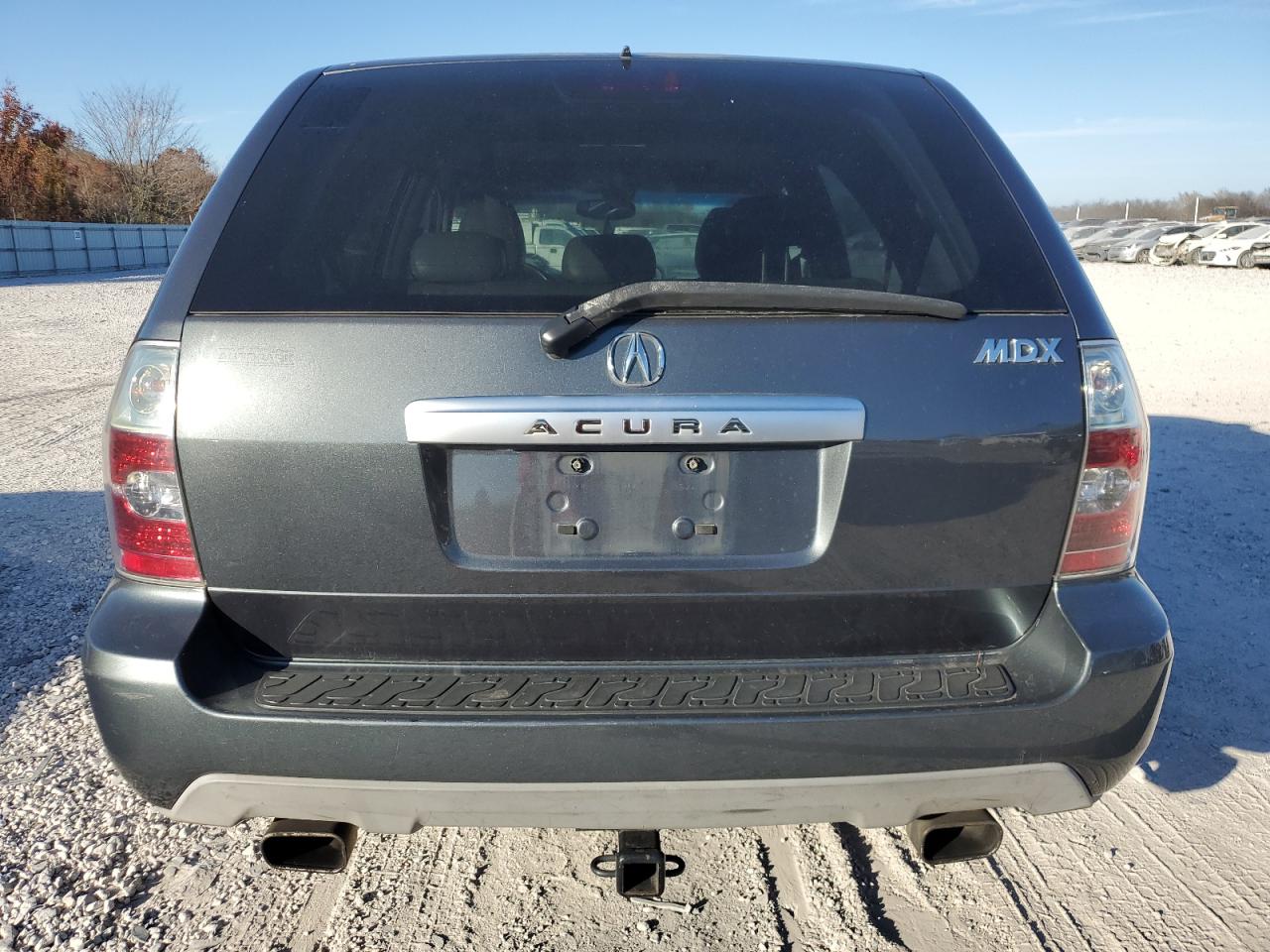 2006 Acura Mdx Touring VIN: 2HNYD18616H550800 Lot: 93719455
