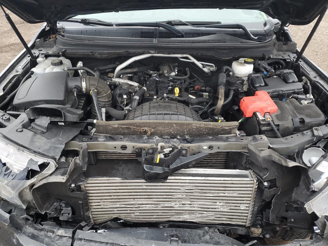 2020 Ford Ranger Xl VIN: 1FTER1FH1LLA92544 Lot: 93338535