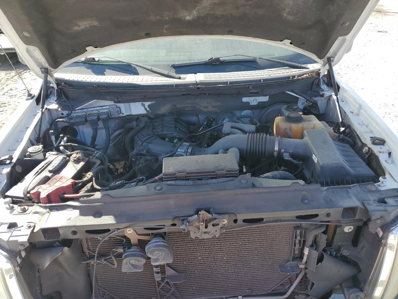 2013 Ford F150 VIN: 1FTMF1CM7DKE18893 Lot: 91249195