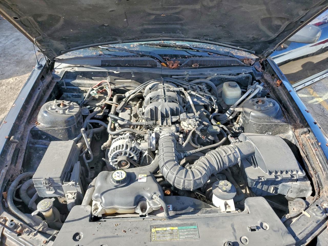 2007 Ford Mustang VIN: 1ZVFT80N475234972 Lot: 86055555