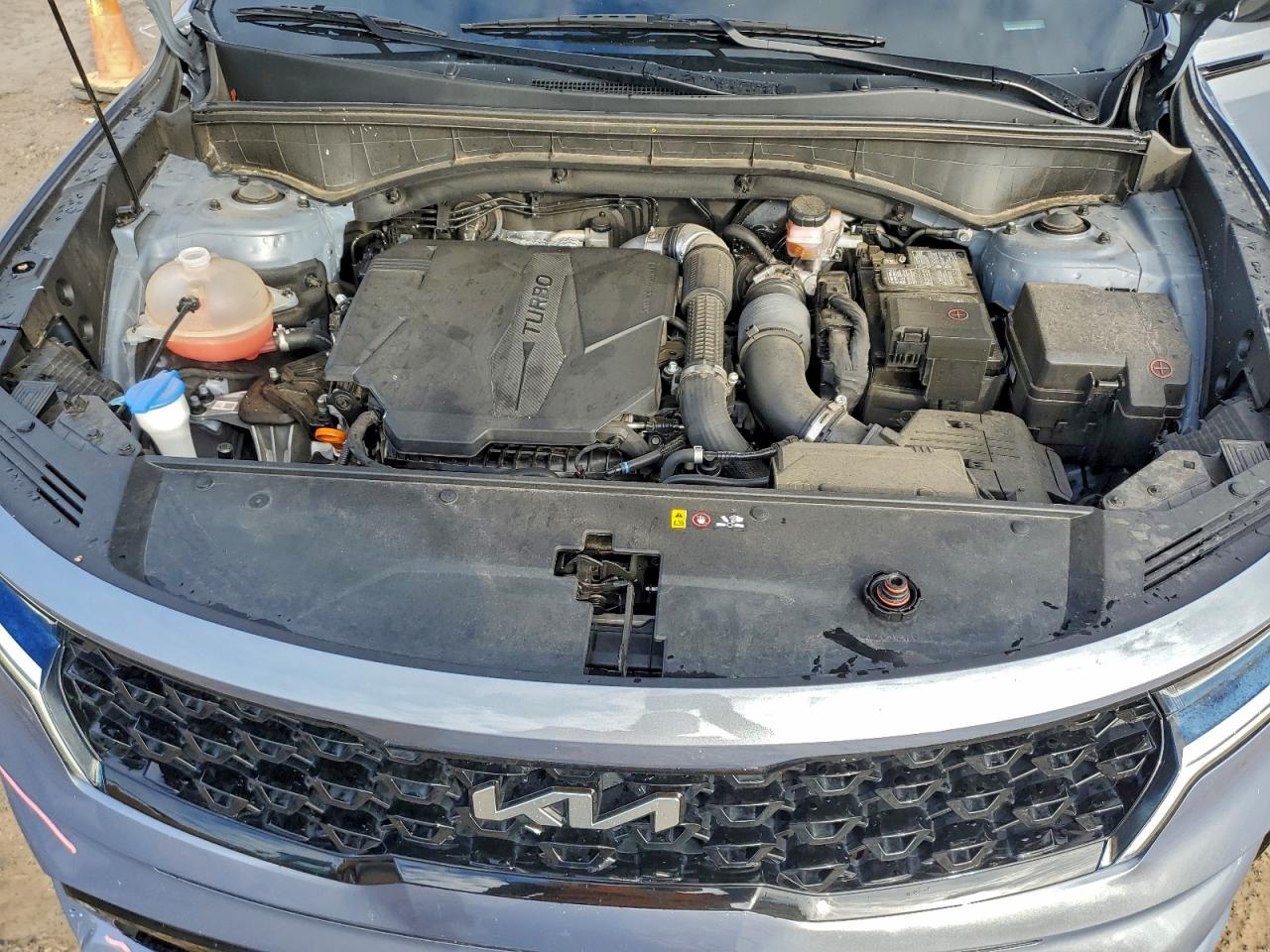 2022 Kia Sorento Sx VIN: 5XYRKDLFXNG131916 Lot: 94311365